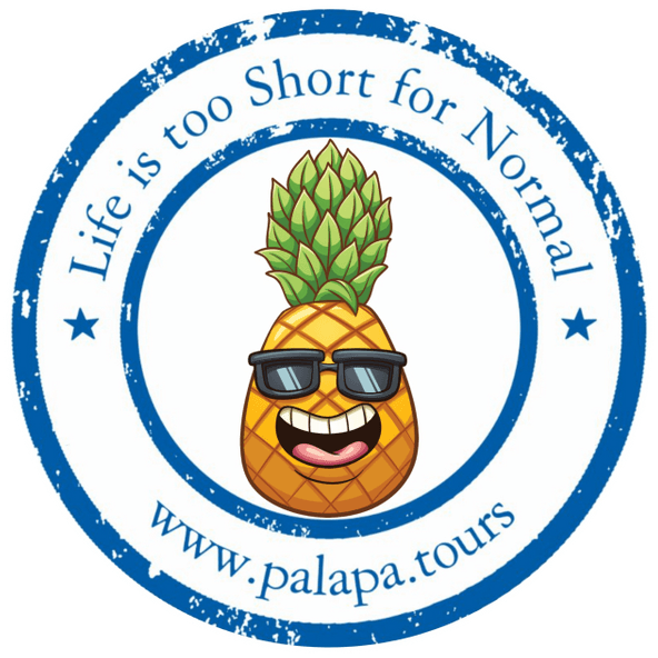 Palapa Tours Ottawa